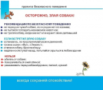 ПАМЯТКА О МЕРАХ БЕЗОПАСНОСТИ ПРИ ОБРАЩЕНИИ С БЕЗНАДЗОРНЫМИ ЖИВОТНЫМИ