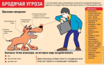 Внимание! Береги себя и животных — будь внимателен!