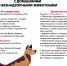 Самовыгул и стаи бездомных собак: зона ответственности - Кадыйский район