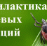 Внимание руководители предприятий, организаций, объединений независимо от форм собственности! - Кадыйский район