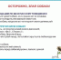 Безнадзорные животные — часть нашего городского и природного пространства. - Кадыйский район